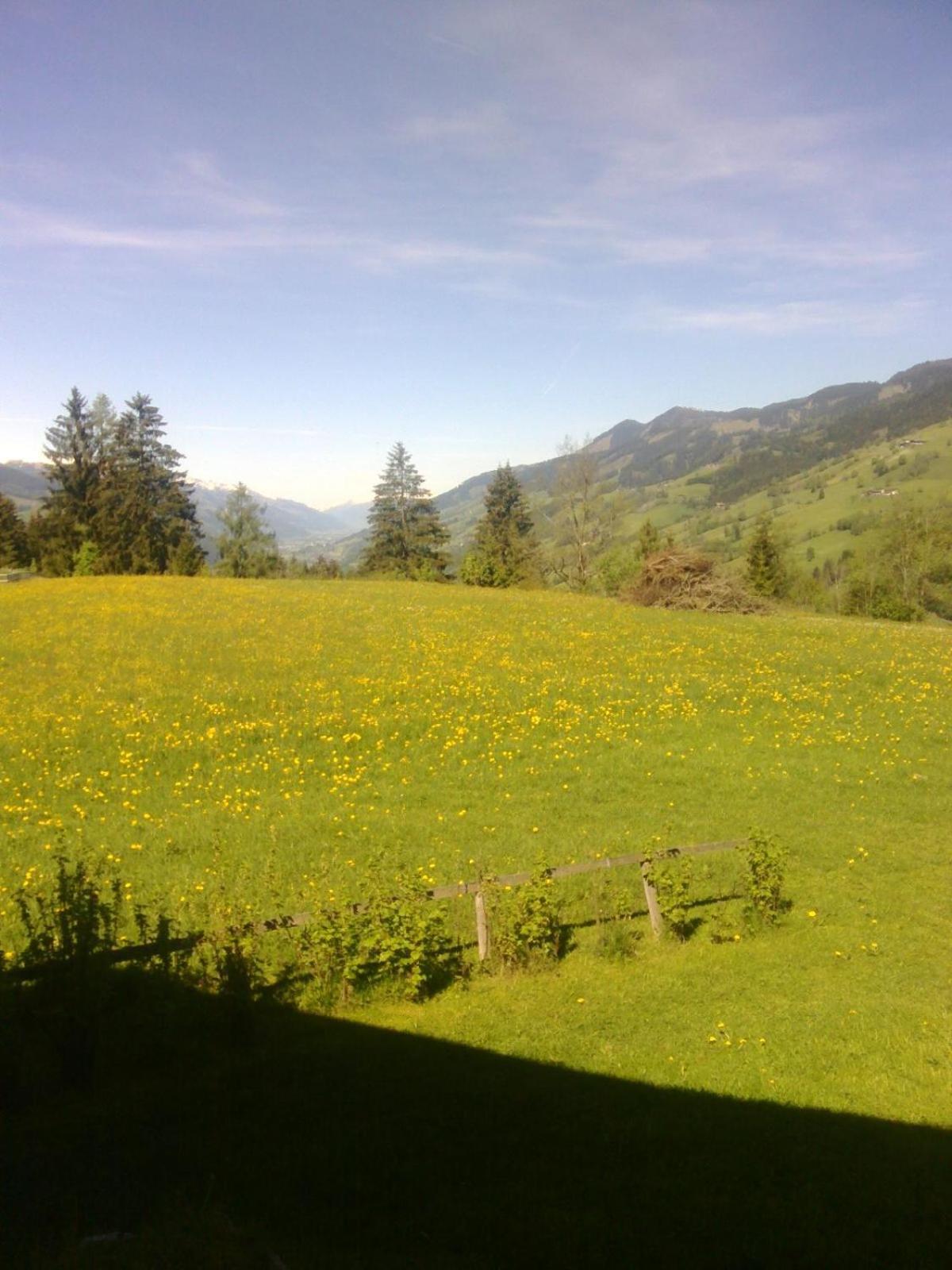 Haus Riedmann Lend